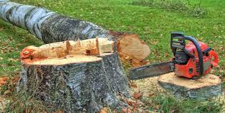 Best Firewood Processing and Delivery  in Hortonville, WI