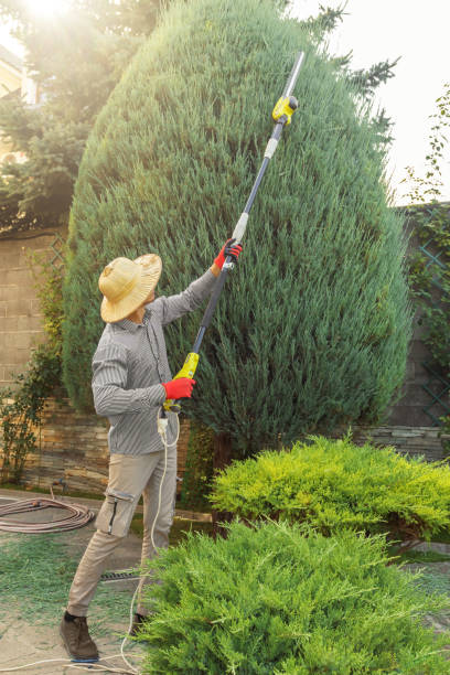 Best Lawn Pest Prevention  in Hortonville, WI